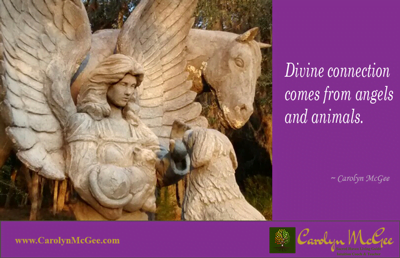Divine connection comes from angels and animals
