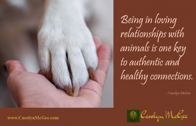 Being in loving relationships with animals is one key to authentic and healthy connections.